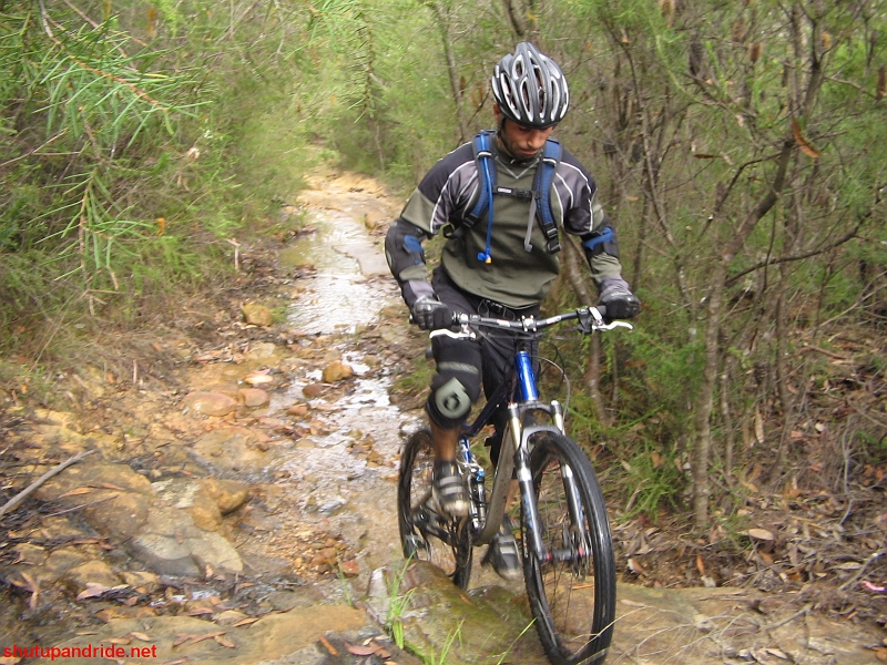 20090405-Mooney 198.jpg